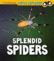 Espléndidas arañas - Splendid Spiders