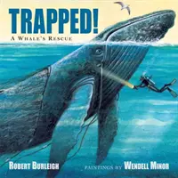 Atrapados: el rescate de una ballena - Trapped! a Whale's Rescue