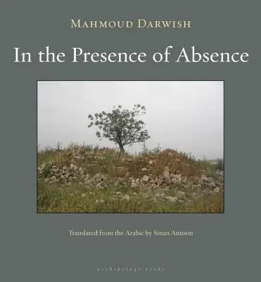 En presencia de la ausencia - In the Presence of Absence