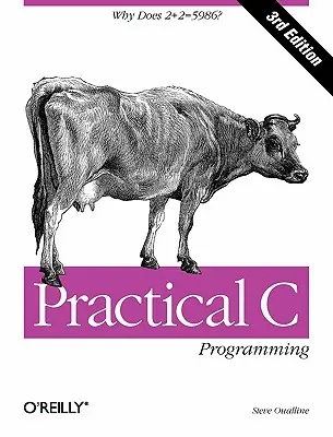 Programación práctica en C: ¿Por qué 2+2 = 5986? - Practical C Programming: Why Does 2+2 = 5986?