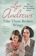 Toma estas alas rotas - Take These Broken Wings