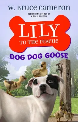 Lily al rescate Perro Ganso - Lily to the Rescue: Dog Dog Goose