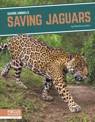 Salvar a los jaguares - Saving Jaguars