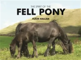 Espíritu del poni de Fell - Spirit of the Fell Pony