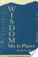 La sabiduría se asienta en los lugares: Paisaje y lengua entre los apaches occidentales - Wisdom Sits in Places: Landscape and Language Among the Western Apache