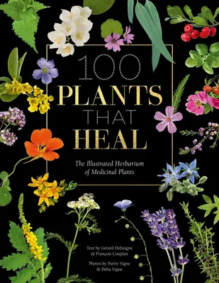 100 plantas que curan: Herbario ilustrado de plantas medicinales - 100 Plants That Heal: The Illustrated Herbarium of Medicinal Plants