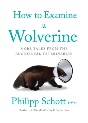 Cómo examinar a un glotón: Más cuentos del veterinario accidental - How to Examine a Wolverine: More Tales from the Accidental Veterinarian