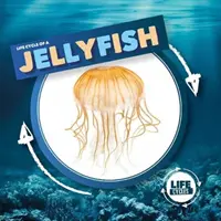 Medusa - Jellyfish