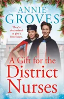 Un regalo para las enfermeras de distrito (Las enfermeras de distrito, Libro 4) - A Gift for the District Nurses (the District Nurses, Book 4)