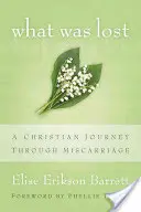 Lo Que Se Perdió Un viaje cristiano a través del aborto espontáneo - What Was Lost: A Christian Journey Through Miscarriage