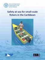 Seguridad marítima para los pescadores artesanales del Caribe - Safety at sea for small-scale fishers in the Caribbean