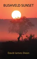 Atardecer en Bushveld - Bushveld Sunset