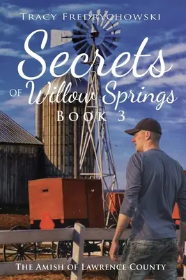 Secretos de Willow Springs - Libro 3 - Secrets of Willow Springs - Book 3