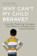 ¿Por qué mi hijo no se porta bien? Estrategias de crianza empática que funcionan para familias adoptivas y de acogida - Why Can't My Child Behave?: Empathic Parenting Strategies That Work for Adoptive and Foster Families