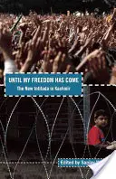 Hasta que llegue mi libertad: la nueva Intifada en Cachemira - Until My Freedom Has Come: The New Intifada in Kashmir