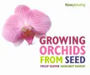 Cultivo de orquídeas a partir de semillas - Growing Orchids from Seed