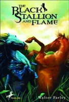 El semental negro y la llama - The Black Stallion and Flame