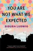 Usted no es lo que esperábamos - You Are Not What We Expected