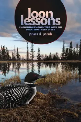 Lecciones de somorgujo: Encuentros insólitos con el gran buceador boreal - Loon Lessons: Uncommon Encounters with the Great Northern Diver