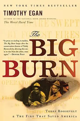 El gran incendio: Teddy Roosevelt y el fuego que salvó América - The Big Burn: Teddy Roosevelt and the Fire That Saved America
