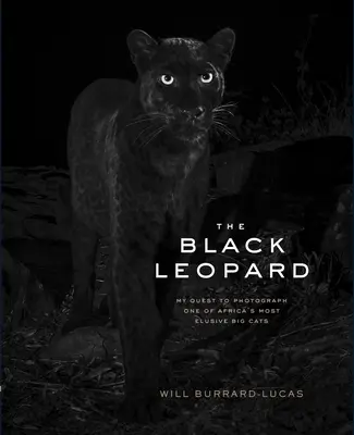 El leopardo negro: Mi búsqueda para fotografiar a uno de los grandes felinos más esquivos de África - The Black Leopard: My Quest to Photograph One of Africa's Most Elusive Big Cats