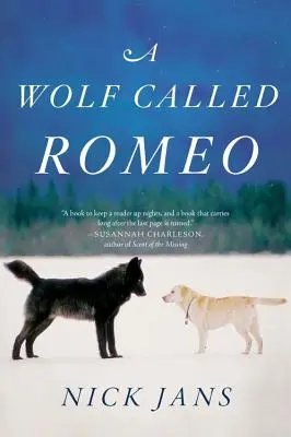 Un lobo llamado Romeo - A Wolf Called Romeo