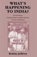 ¿Qué le está pasando a la India? Punjab, el conflicto étnico y la prueba del federalismo - What's Happening to India?: Punjab, Ethnic Conflict, and the Test for Federalism