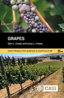 Uvas - Grapes