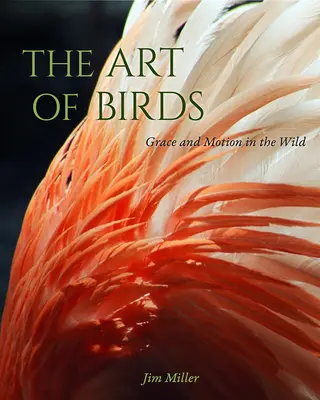 El arte de los pájaros: Gracia y movimiento en la naturaleza - The Art of Birds: Grace and Motion in the Wild