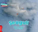 Seagull Red Band