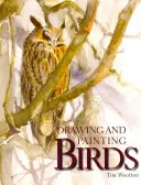Dibujar y pintar pájaros - Drawing and Painting Birds