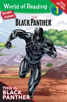 Esto es Pantera Negra - This Is Black Panther