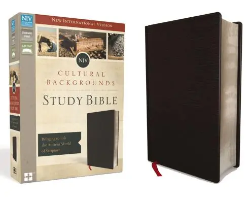 NVI, Biblia de estudio de trasfondos culturales, cuero regenerado, negro: Dar vida al mundo antiguo de las Escrituras - NIV, Cultural Backgrounds Study Bible, Bonded Leather, Black: Bringing to Life the Ancient World of Scripture