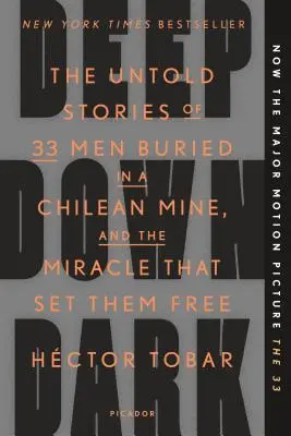 En lo profundo de la oscuridad: las historias no contadas de 33 hombres enterrados en una mina chilena y el milagro que los liberó - Deep Down Dark: The Untold Stories of 33 Men Buried in a Chilean Mine, and the Miracle That Set Them Free