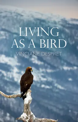 Vivir como un pájaro - Living as a Bird