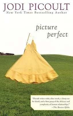 Imagen perfecta - Picture Perfect