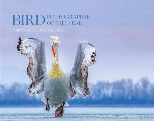 Fotógrafo de Aves del Año: Colección 4 (Fotógrafo de Aves del Año) - Bird Photographer of the Year: Collection 4 (Bird Photographer of the Year)