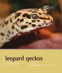 Geco leopardo - Leopard Gecko