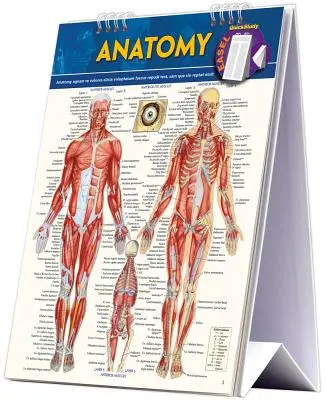 Libro de caballete de anatomía: Una herramienta de consulta rápida - Anatomy Easel Book: A Quickstudy Reference Tool