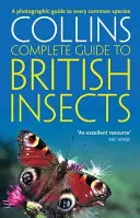 Insectos británicos - Guía fotográfica de todas las especies comunes - British Insects - A Photographic Guide to Every Common Species