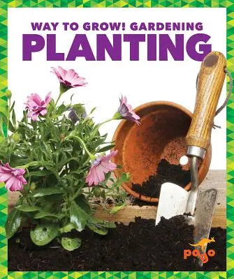 Plantación - Planting