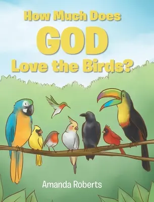 ¿Cuánto ama Dios a los pájaros? - How Much Does God Love the Birds?