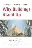 Por qué se levantan los edificios: la fuerza de la arquitectura - Why Buildings Stand Up: The Strength of Architecture