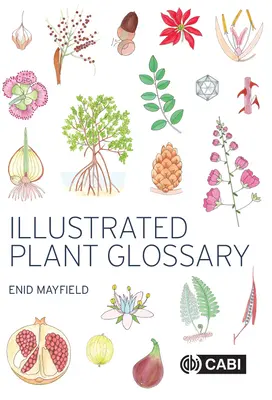 Glosario ilustrado de plantas - Illustrated Plant Glossary