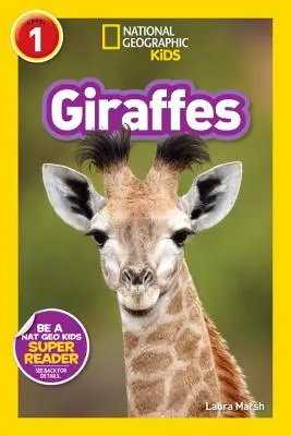 Jirafas - Giraffes