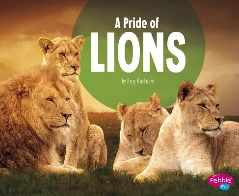 Una manada de leones - A Pride of Lions