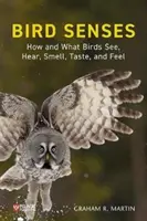 Los sentidos de las aves: Cómo y qué ven, oyen, huelen, saborean y sienten las aves - Bird Senses: How and What Birds See, Hear, Smell, Taste and Feel