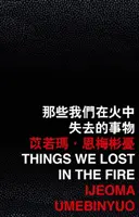 Cosas que perdimos en el incendio - Things We Lost in the Fire