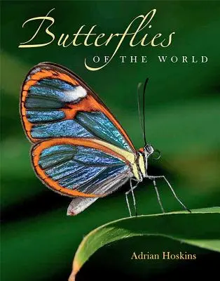 Mariposas del mundo - Butterflies of the World