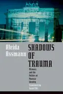 Sombras del trauma: La memoria y la política de la identidad en la posguerra - Shadows of Trauma: Memory and the Politics of Postwar Identity